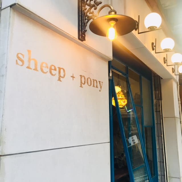 sheep+pony 照片 3