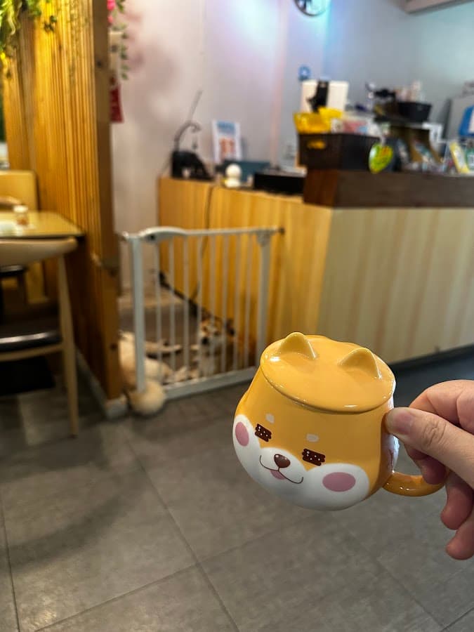 找樂子義式料理(小北店)-寵物友善餐廳(結束營業前90分鐘不再收客) 照片 5